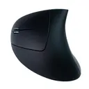 tm-100566-3.webp